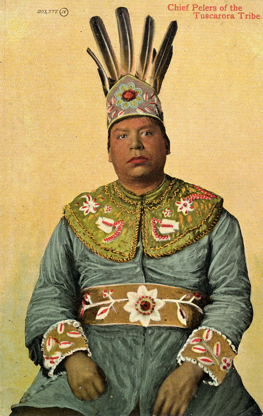 From Carolina Swamps to Niagara's Edge: The Enduring Saga of the Tuscarora Nation From Carolina Swamps to Niagara's Edge: The Enduring Saga of the Tuscarora Nation